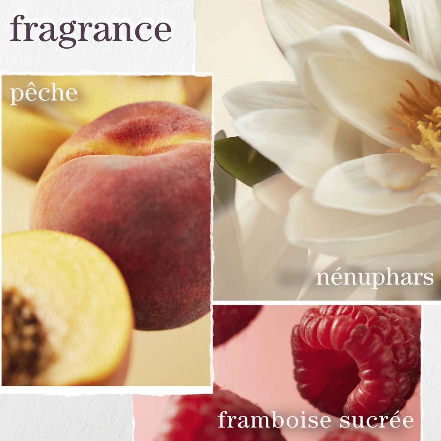 Strength Cure Holiday Box - Pureology