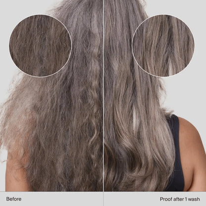 Revitalisant anti-frisottis 1000 ml No Frizz - Living Proof