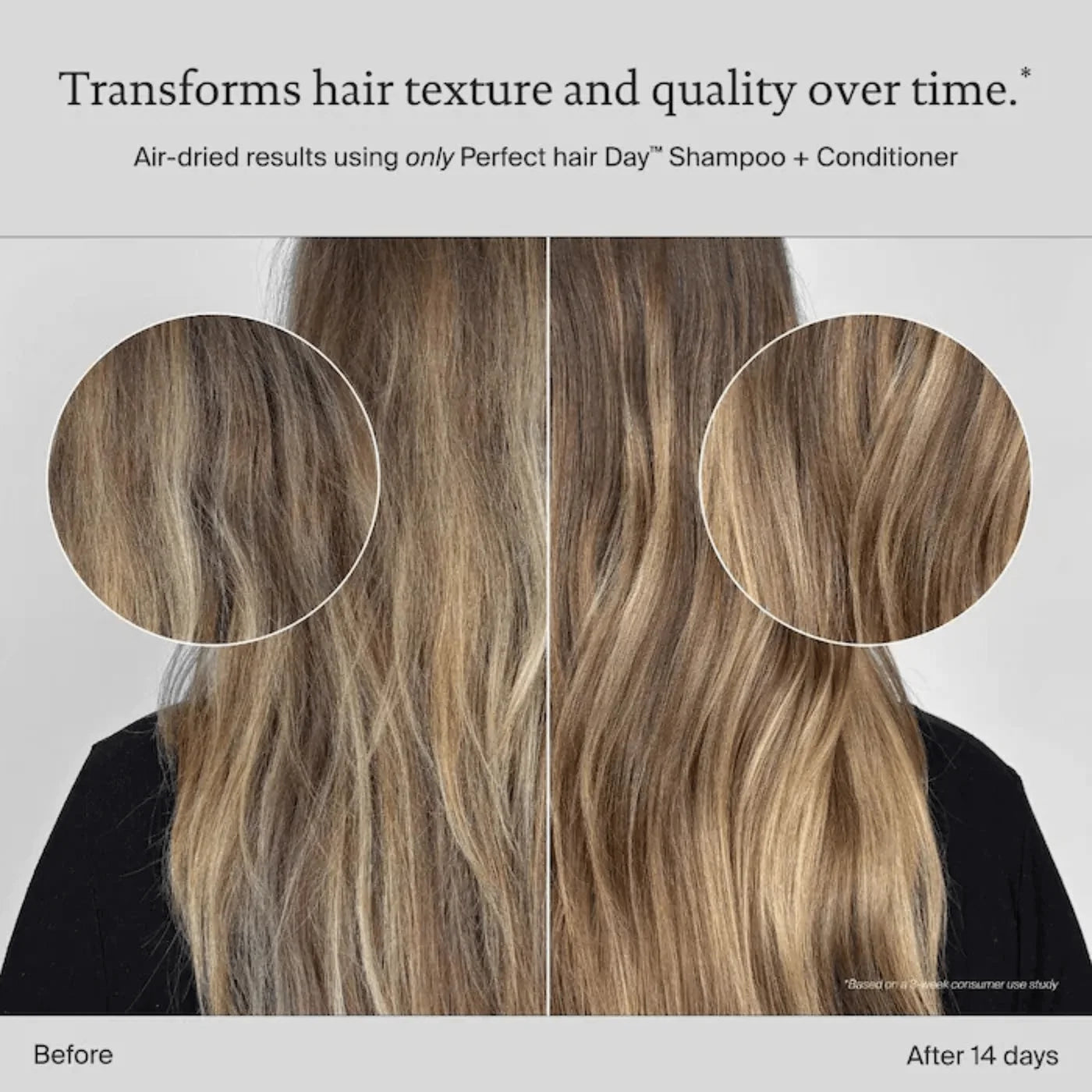Shampoing pour des cheveux ternes et secs 1000 ml Perfect Hair Day - Living Proof