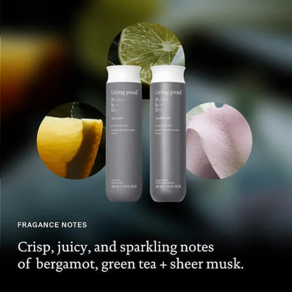 Shampoing pour des cheveux ternes et secs 1000 ml Perfect Hair Day - Living Proof