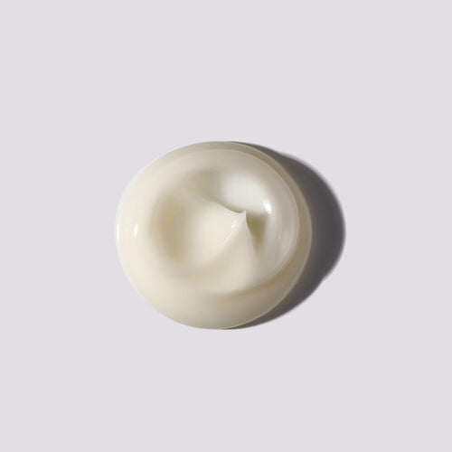 Duo nourrissant Essence absolue - Shu uemura