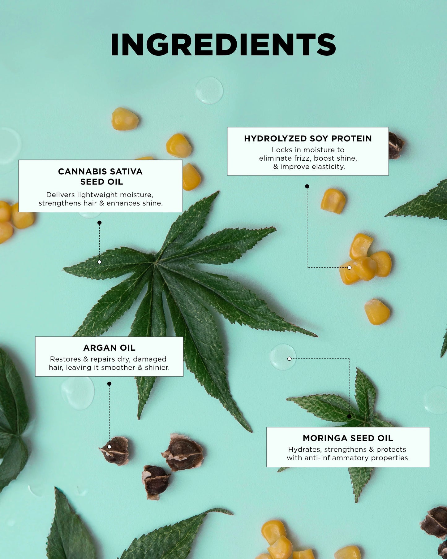 Gloss.Me Discovery Kit - Design.Me