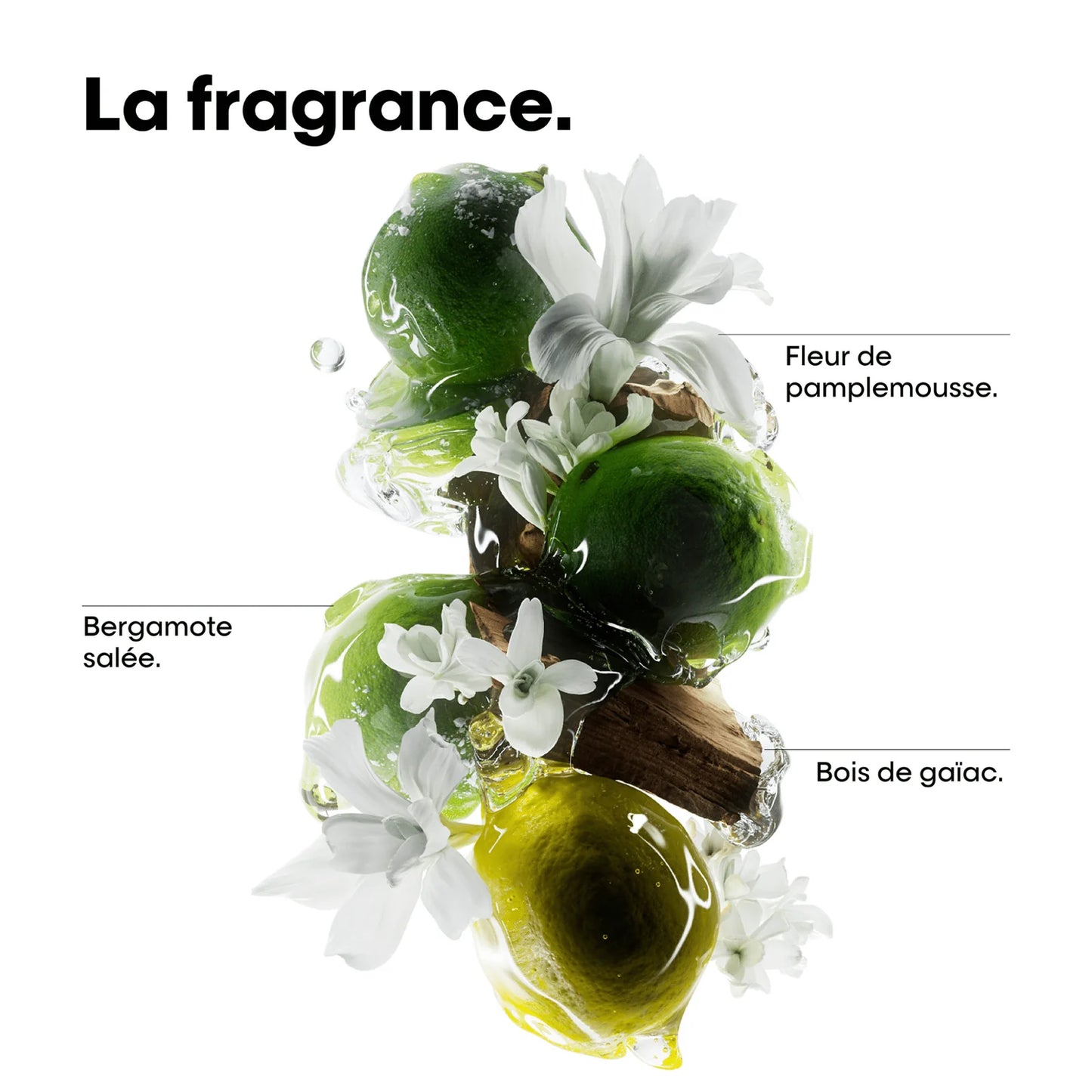 METAL DETOX HOLIDAY KIT