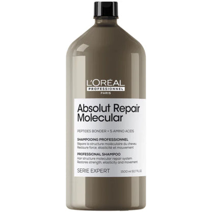 Absolut Repair Molecular Shampoo 300ml
