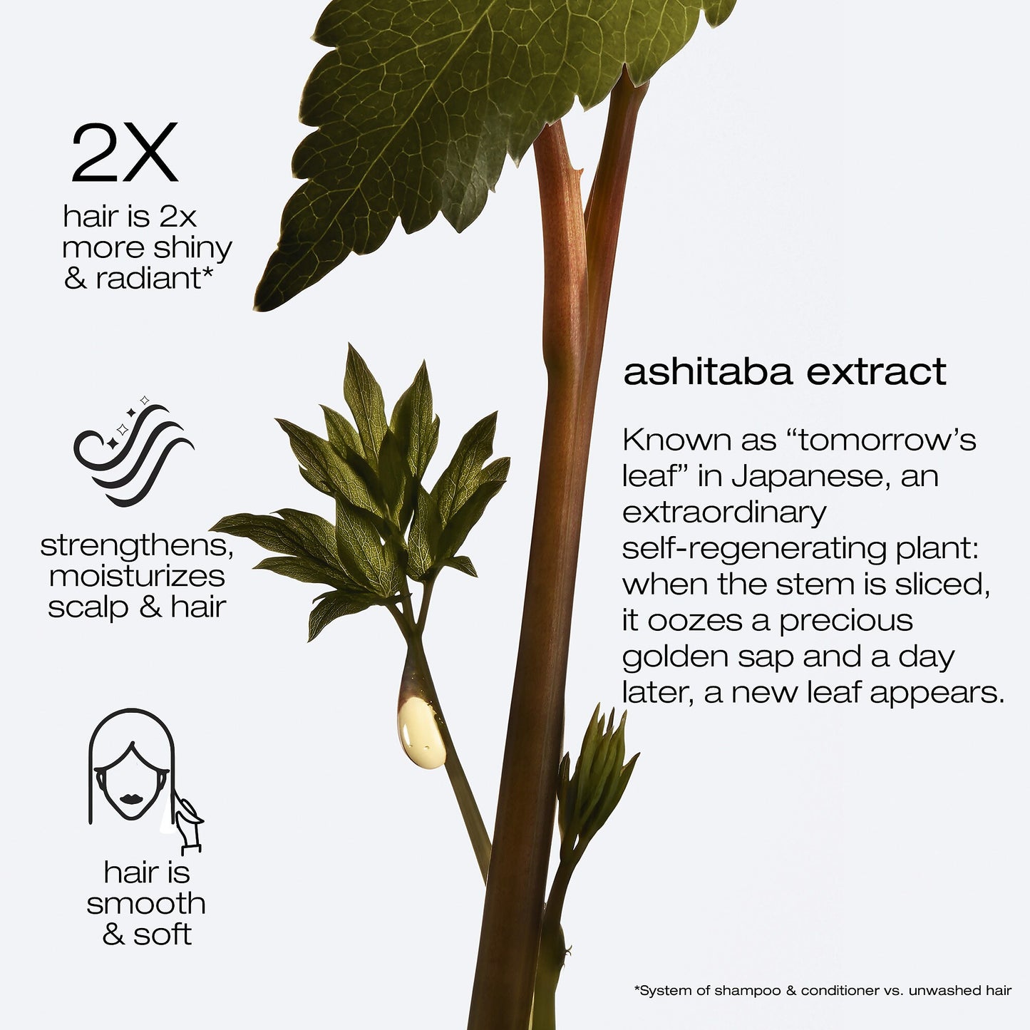 Ashita Supreme Intense Revitalization Conditioner 250ml