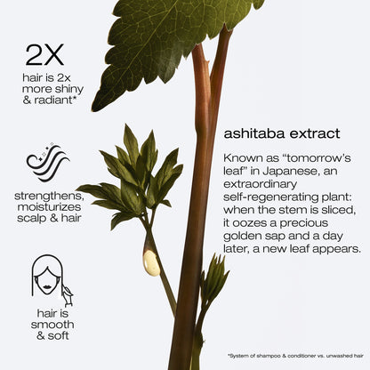 Ashita Supreme Intense Revitalization Conditioner 250ml