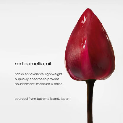 Sérum de nuit  Essence Absolue 150 ml - Shu Uemura