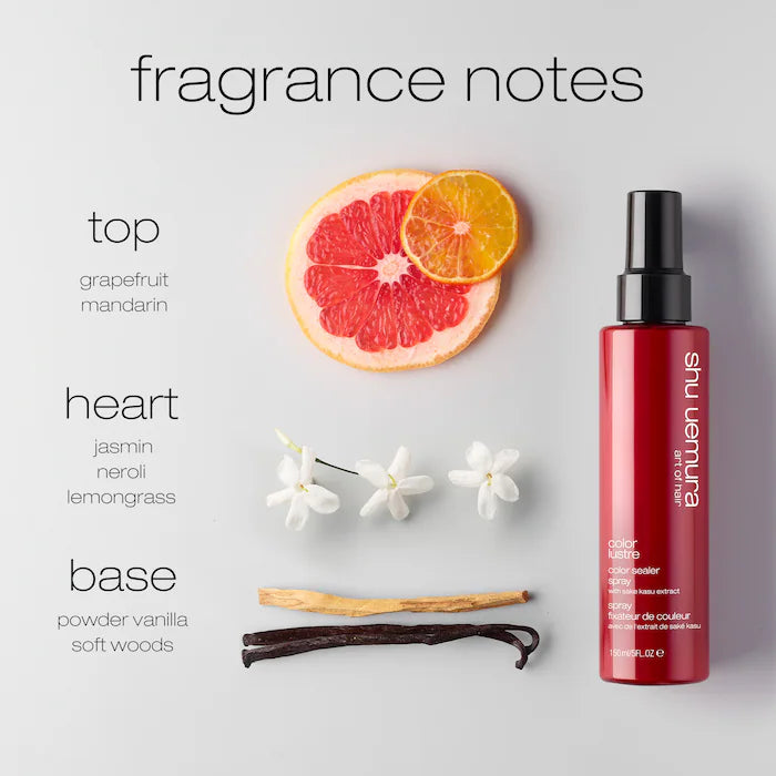 color lustre color sealer spray 150ml